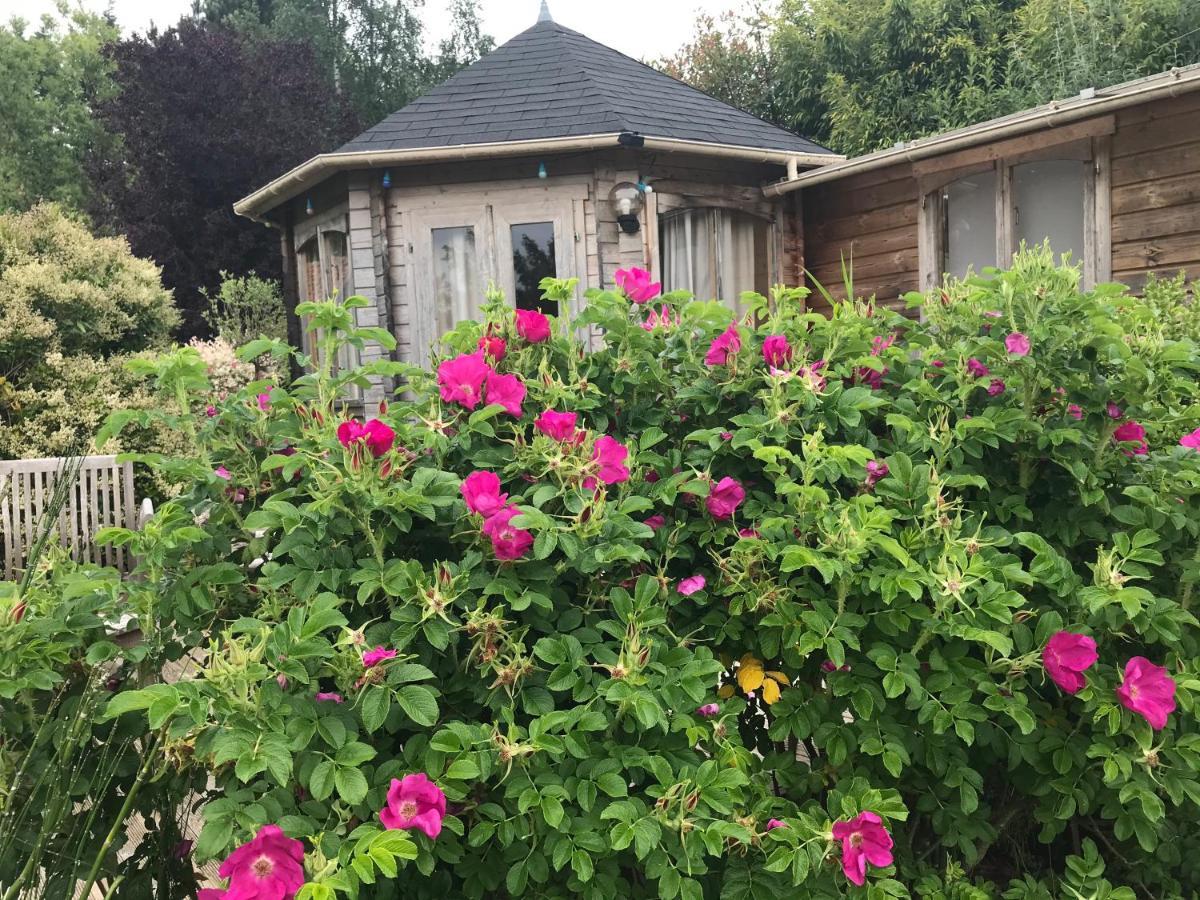 Le Jardin Sauvage Bed & Breakfast Maintenay Exterior foto