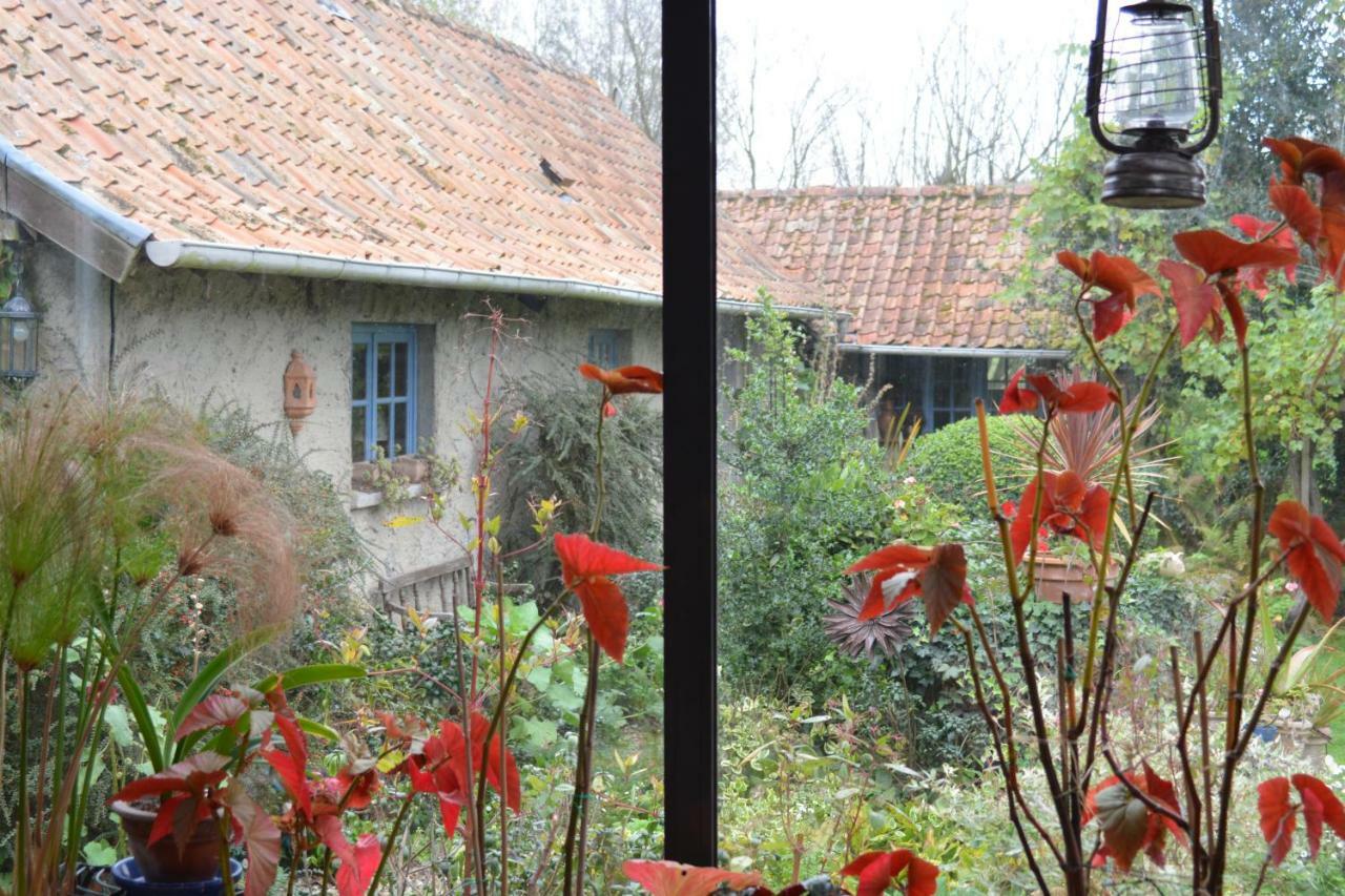 Le Jardin Sauvage Bed & Breakfast Maintenay Exterior foto