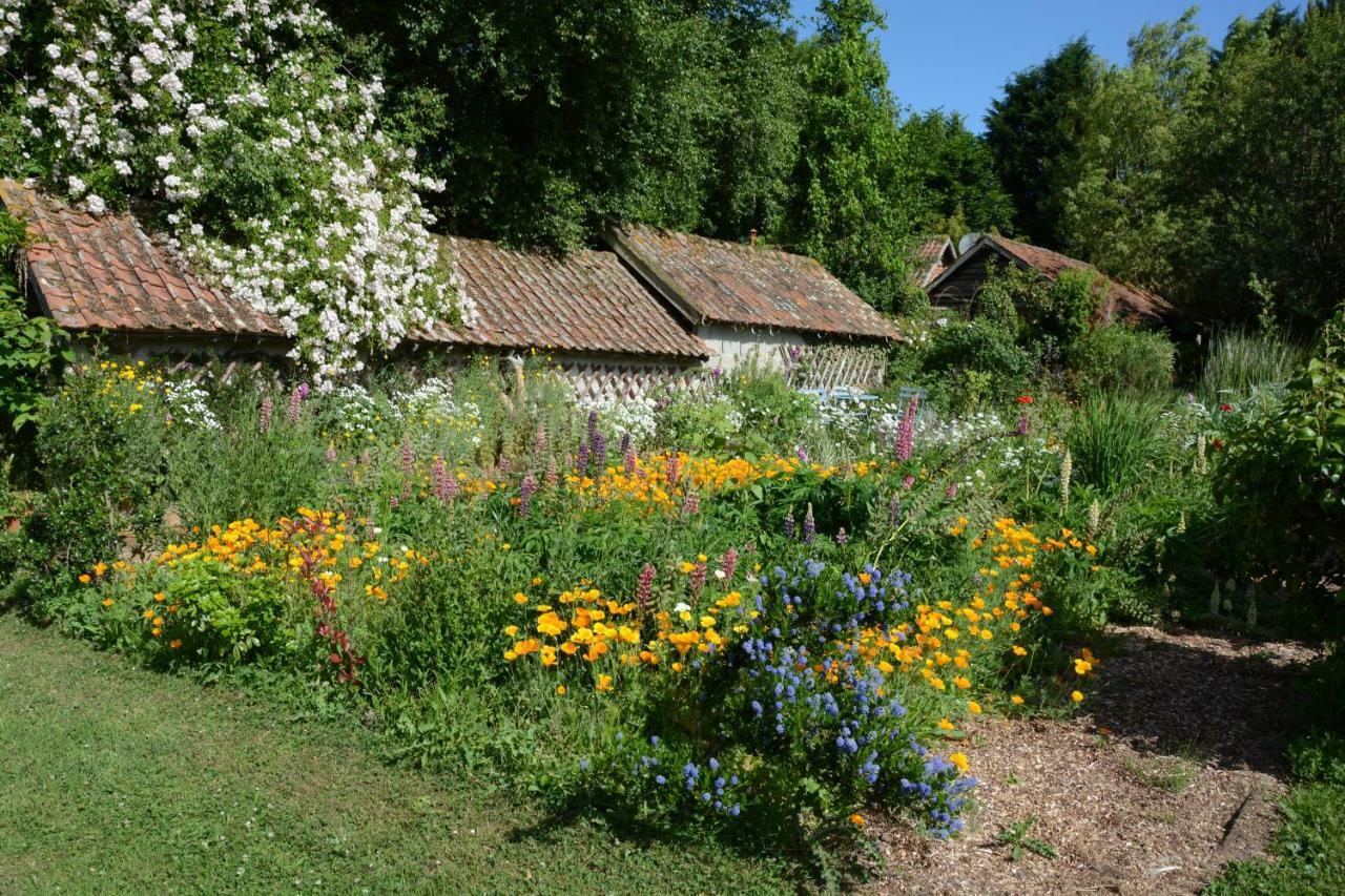 Le Jardin Sauvage Bed & Breakfast Maintenay Exterior foto