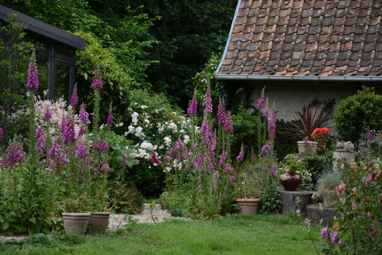 Le Jardin Sauvage Bed & Breakfast Maintenay Exterior foto