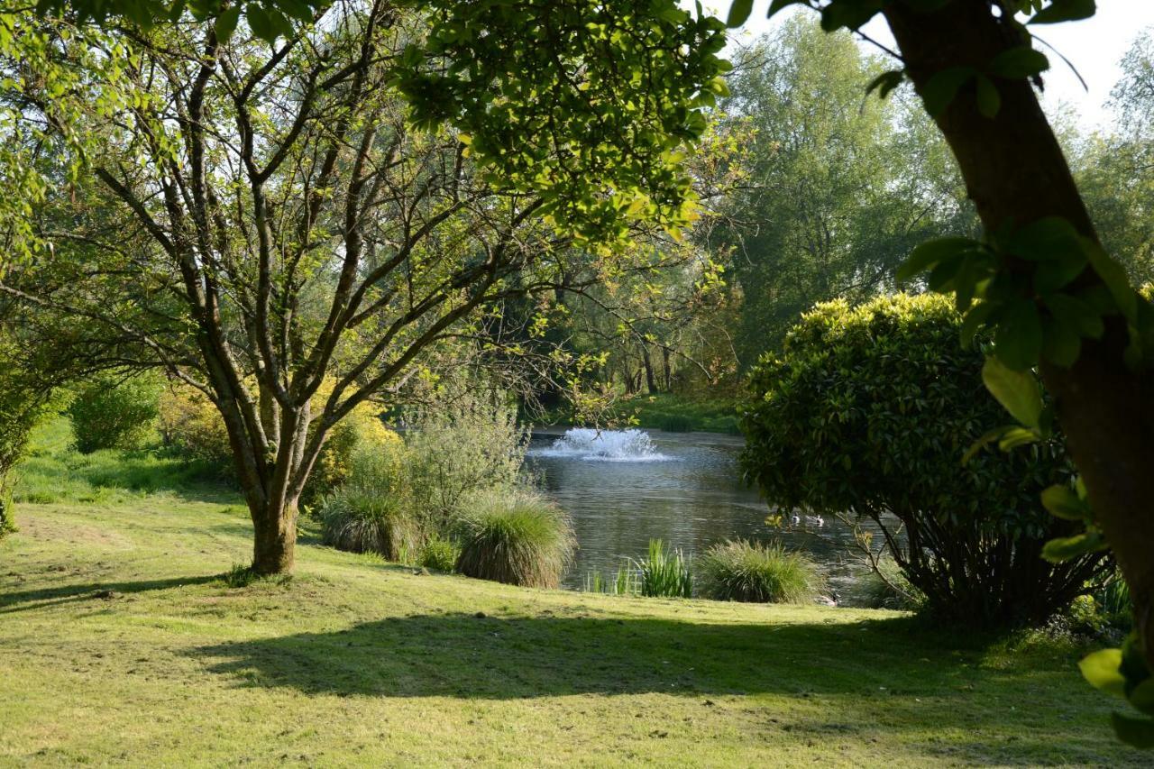 Le Jardin Sauvage Bed & Breakfast Maintenay Exterior foto
